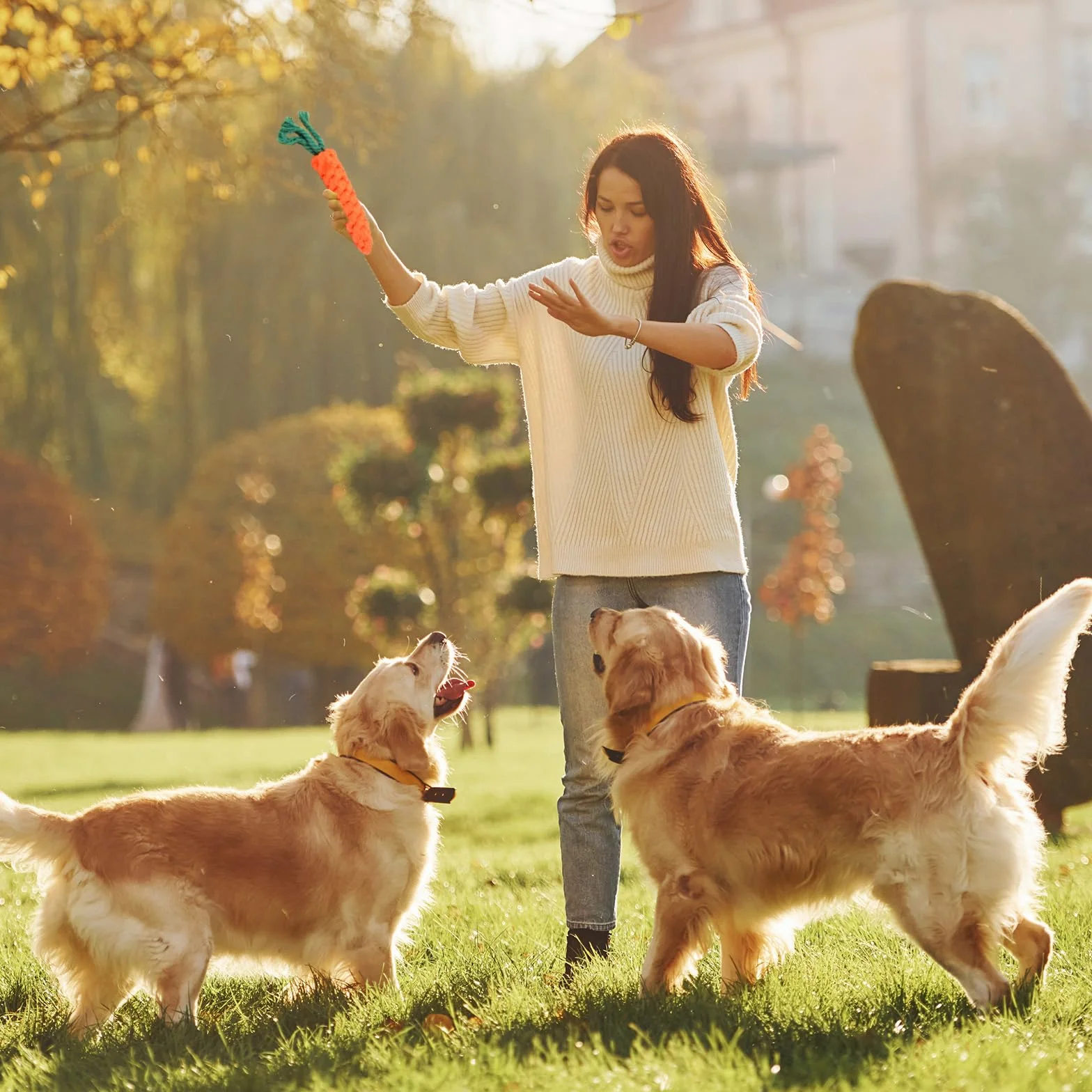 Jouets à Mâcher pour Chien Carotte, Corde Tressée en Coton Durable pour Petite et Moyenne