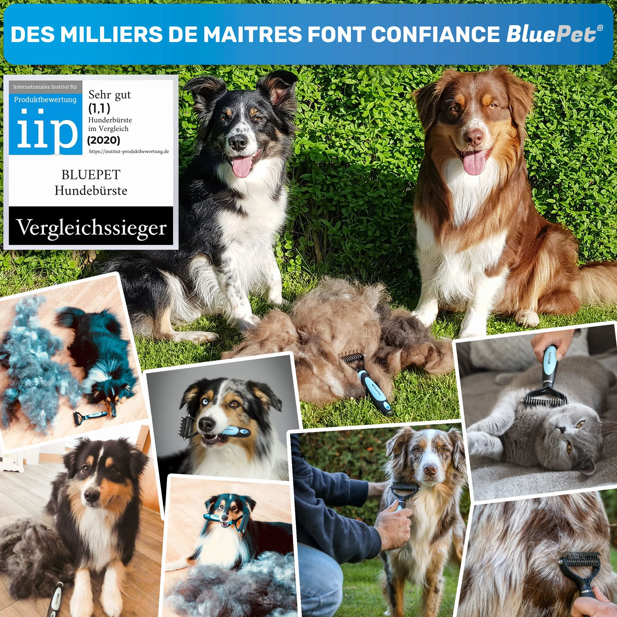 BluePet Brosse Chiens Chats Poil Long Peigne Démêlage Professionnel Sous Poil Nœuds Étrille Démêlant Râteau Toilettage