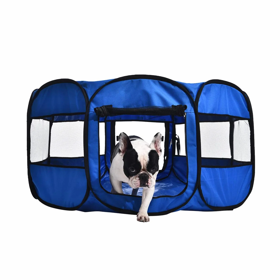 Amazon Basics Parc portatif souple octogonal pour animaux domestiques 114 cm Bleu