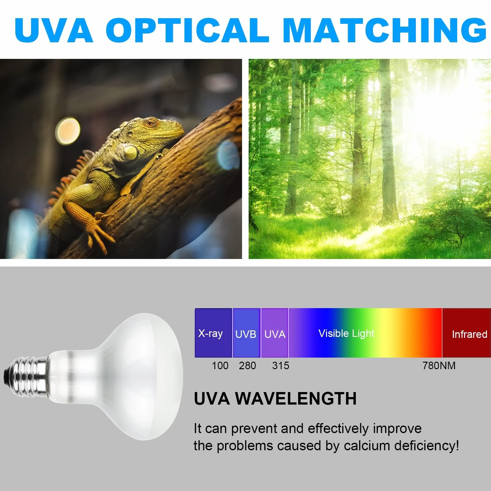 Lampe Chauffante Reptiles 50W UVA+UVB E27 Spiral 220V Silver Plated Glass