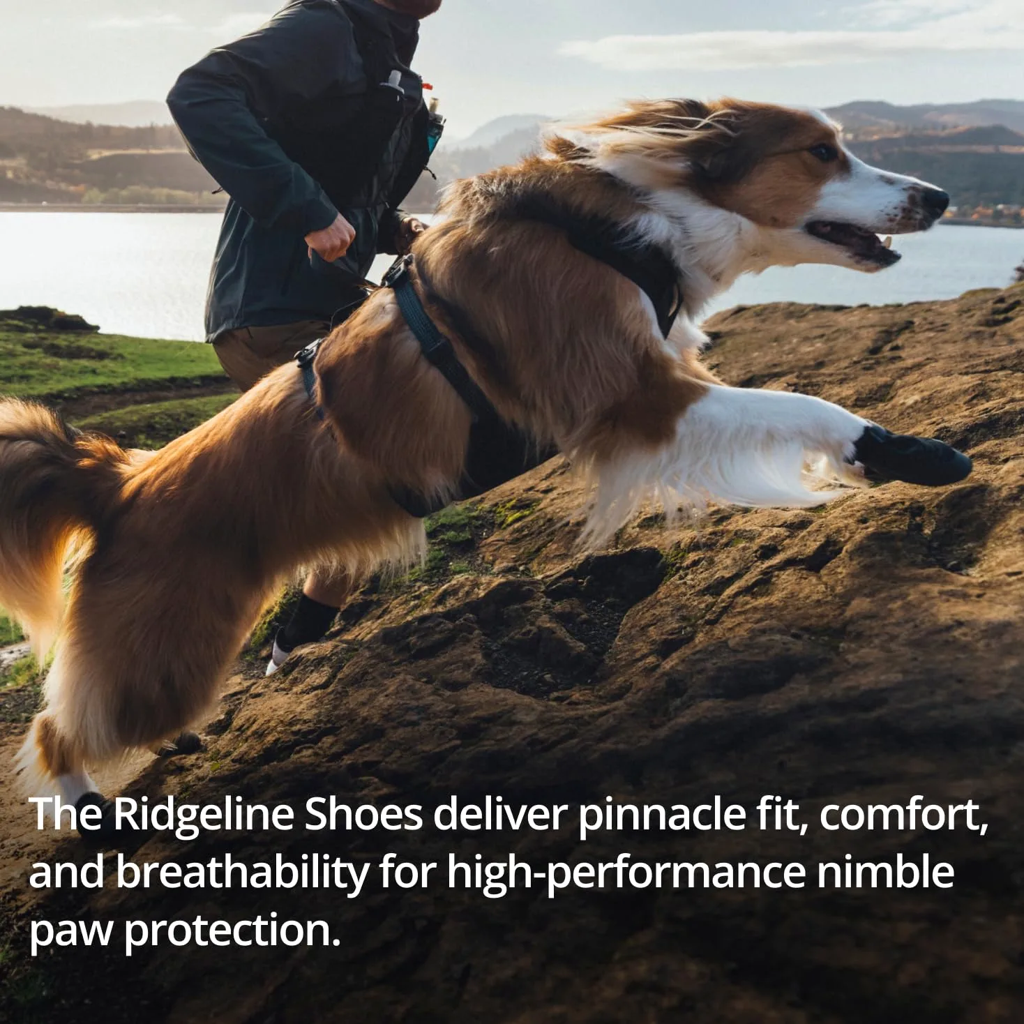 RUFFWEAR Ridgeline – Lot de 2 chaussures pour chien, bottes de marche robustes pour animaux de compagnie, sur surfaces chaudes ou froides, équipement de course, d'escalade et de randonnée, noir