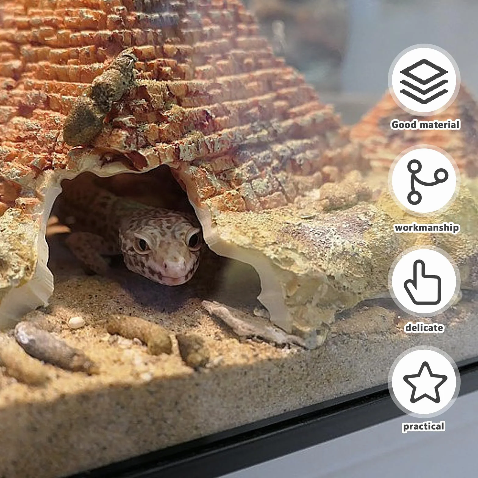Lot de 2 tapis chauffants pour terrarium réglable température reptiles serpents lézards geckos