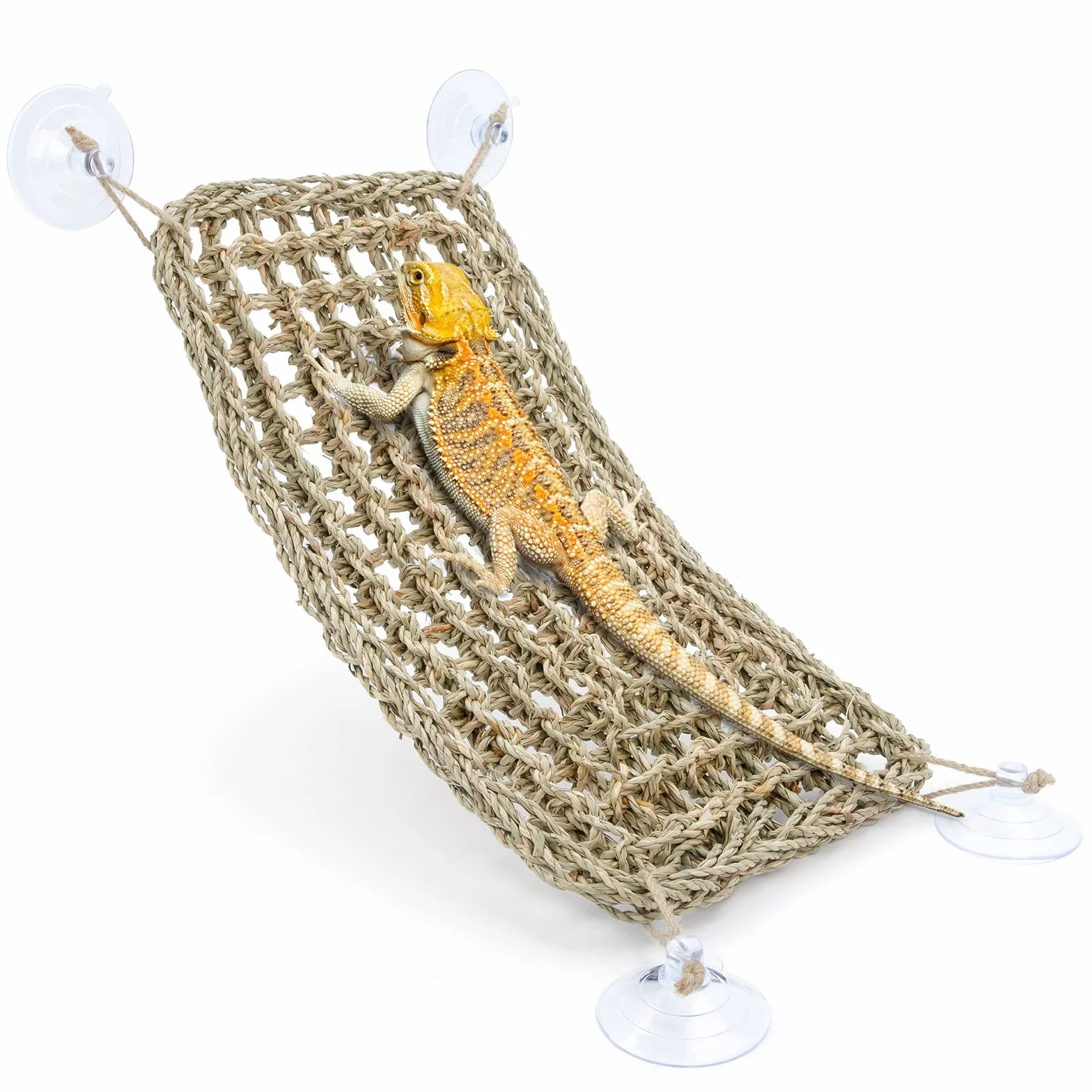 Niteangel Hamac rectangle 40,6 x 20,3 cm pour reptiles