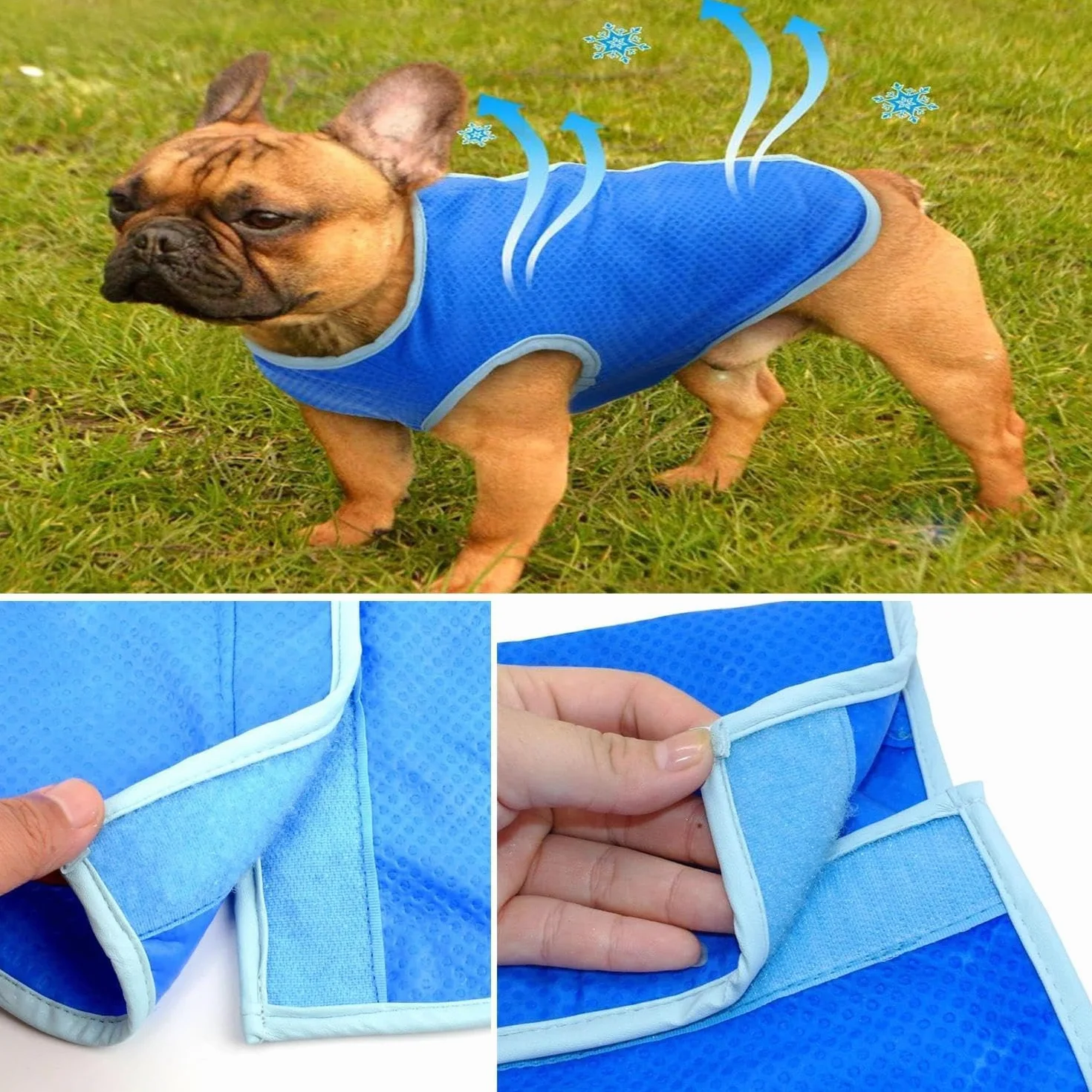Gilet Rafraîchissant pour Chien Taille Moyenne/Grande Veste de Refroidissement Respirante