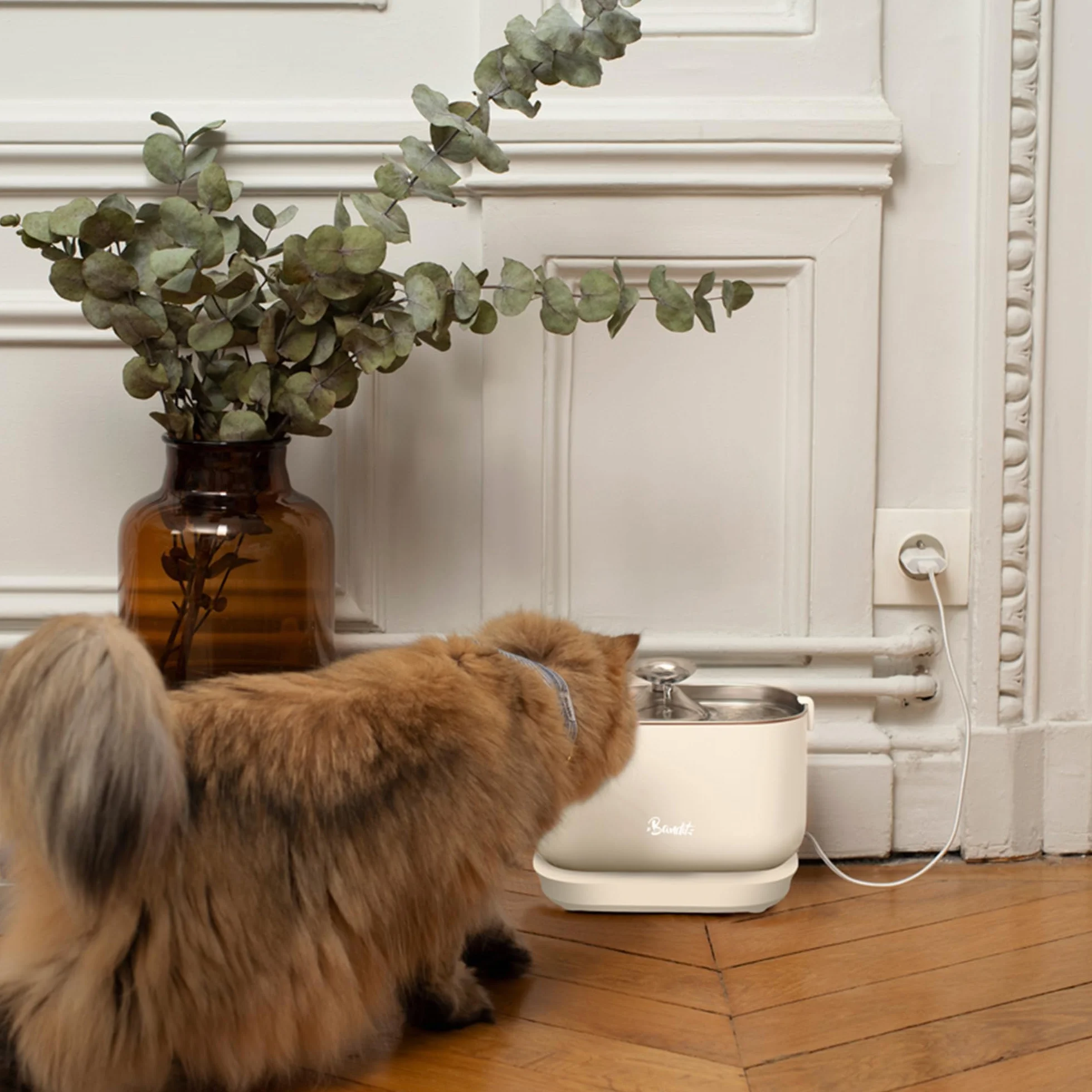 Fontaine à Eau Filaire pour Chat 2,5L Acier Inoxydable Filtration 4 étapes Ultra silencieuse 30dB Plateau Lave-Vaisselle Crème