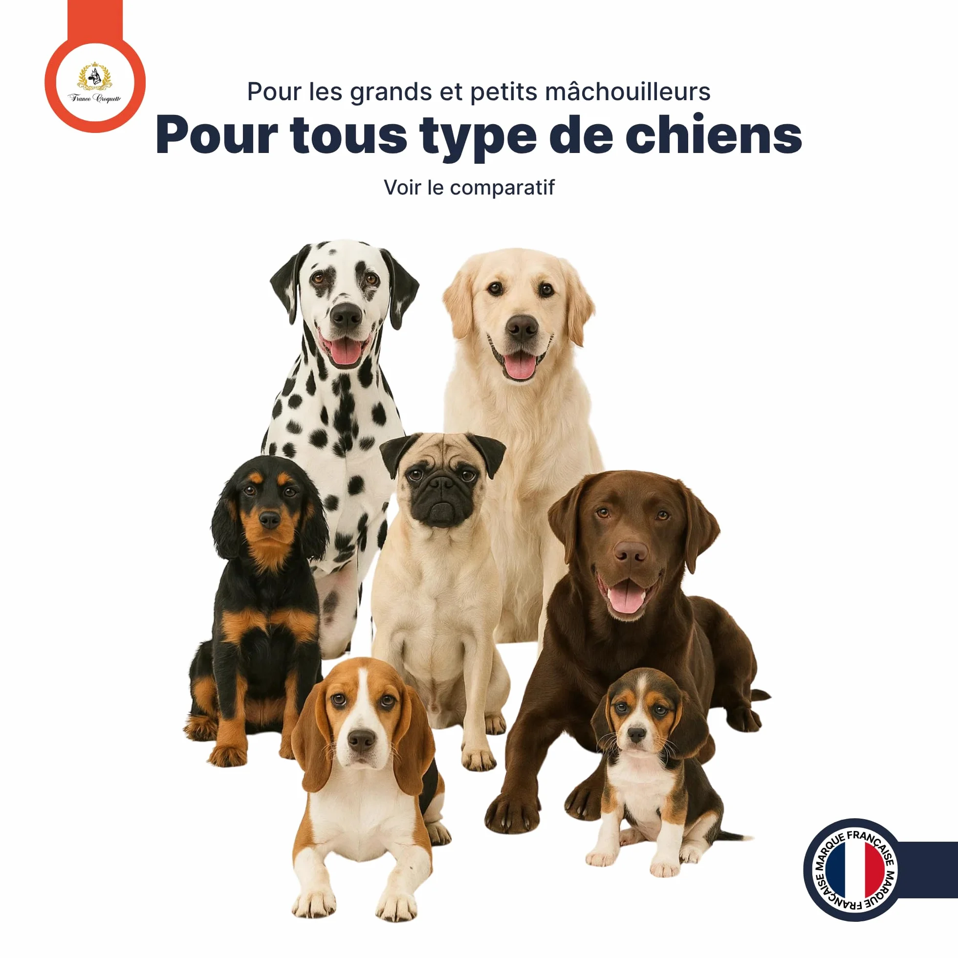 Bois de Cerf M Entier 60-100 g pour Chien Moins de 20 kg, Friandise Naturelle à mâcher Longue Durée