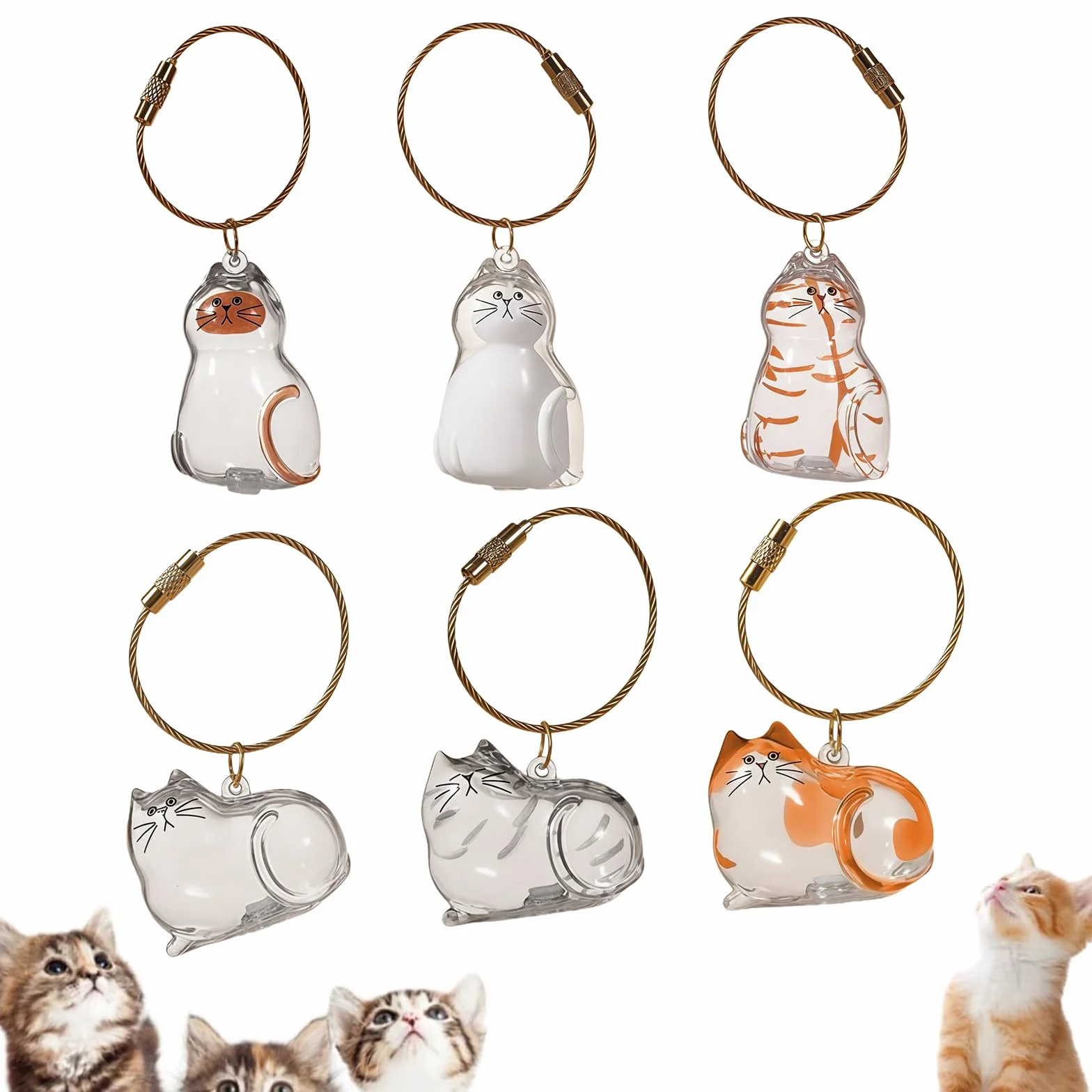 Médaille Souvenir Poils de Chat, 6 Pièces Médaillon à Remplir, Bijoux Funéraire pour Animaux