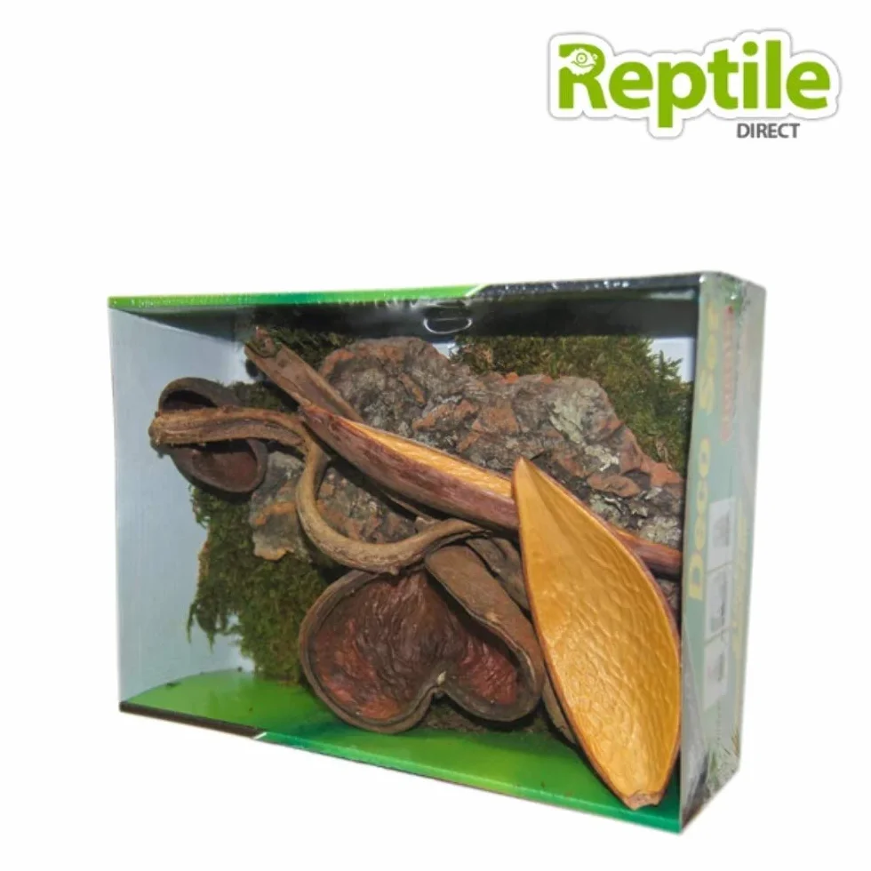 LUCKY REPTILE Ensemble de Décoration de Terrarium Plastique Jungle