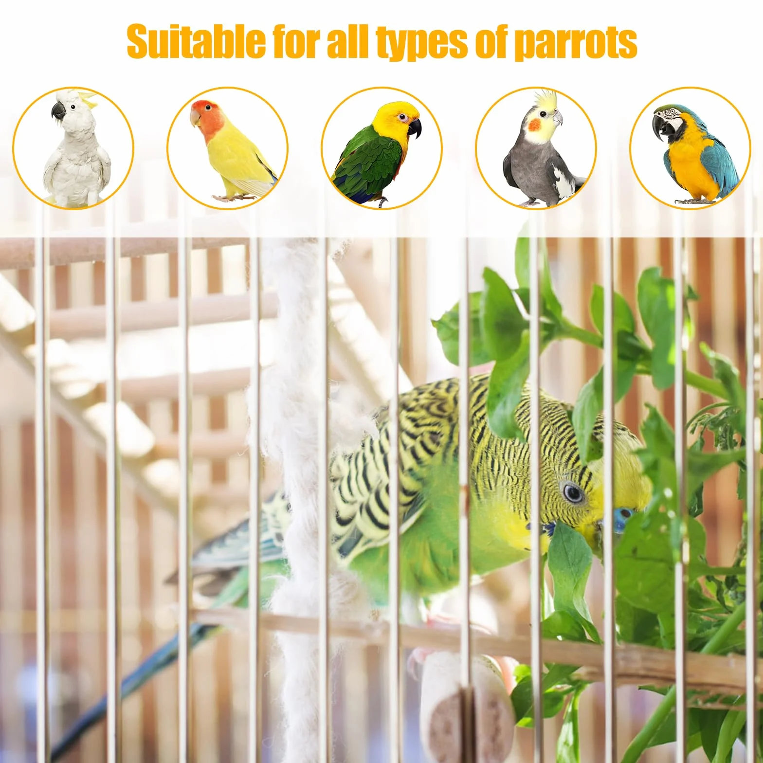Lot de 2 gamelles pour oiseaux en acier inoxydable avec perchoir en bois, perruches, calopsittes