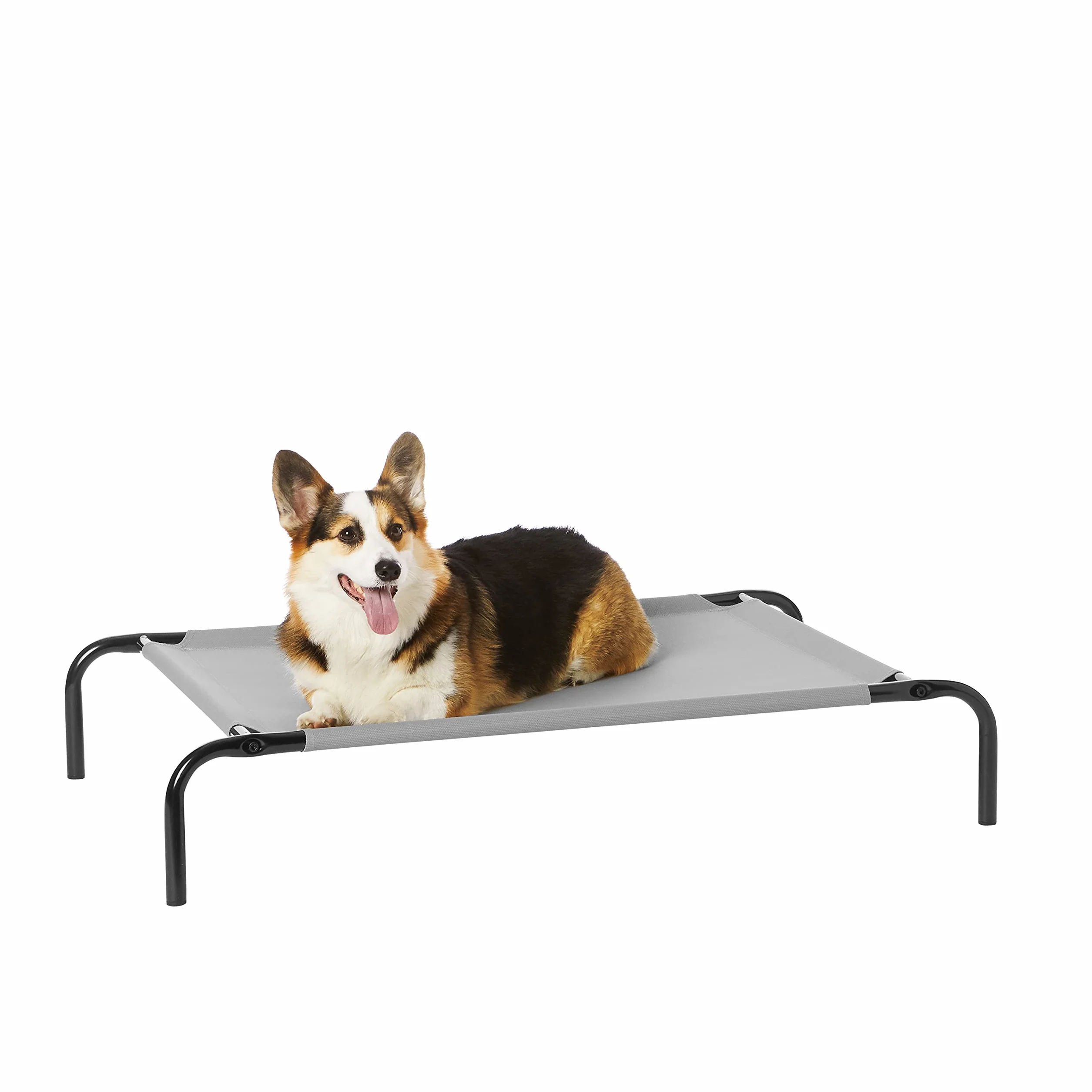 Amazon Basics Lit surélevé rafraîchissant chien Taille M Gris Textile 110x65x19 cm