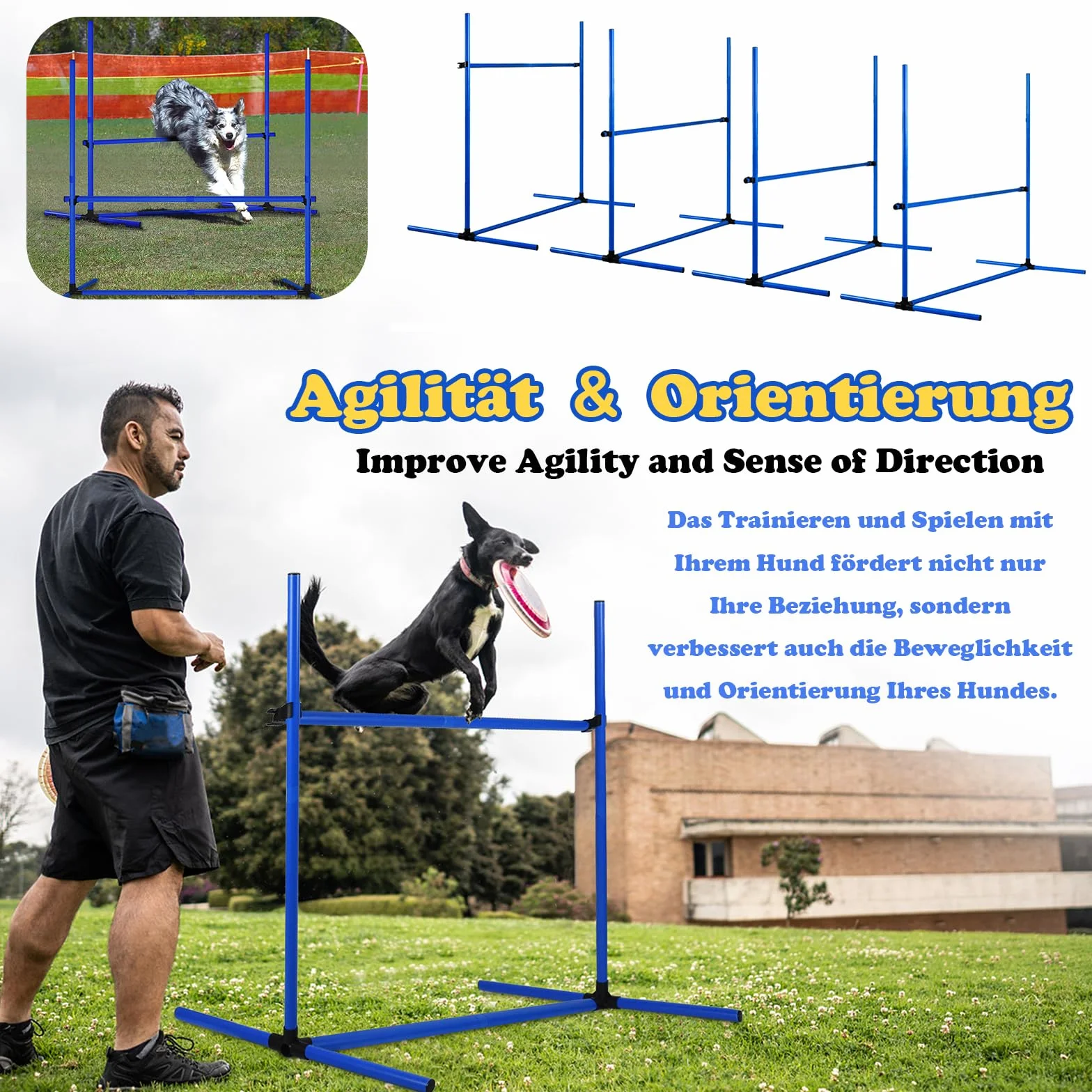 Kit d'équipement pour chien Agility 4 obstacles réglables en hauteur 104 x 70 x 101 cm Bleu