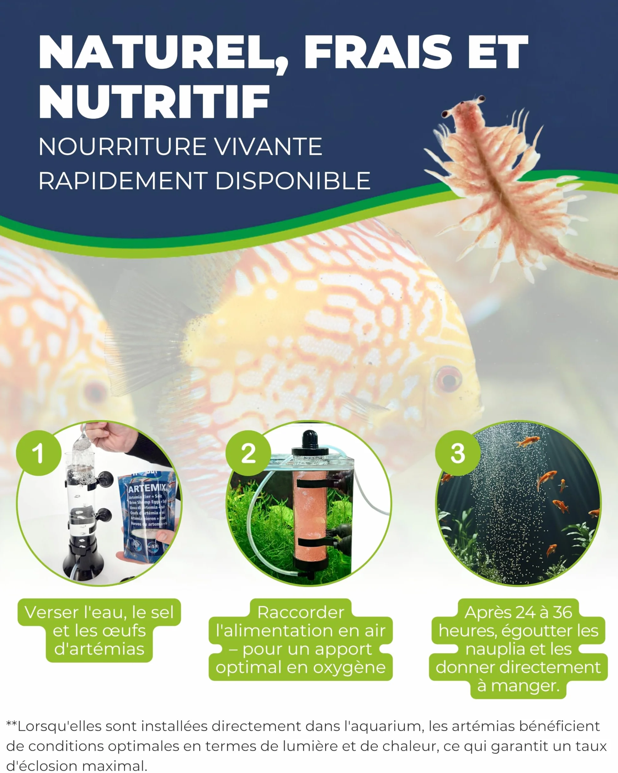 Station d'élevage Hobby Artemia Easy Breeder pour écrevisses Artemia