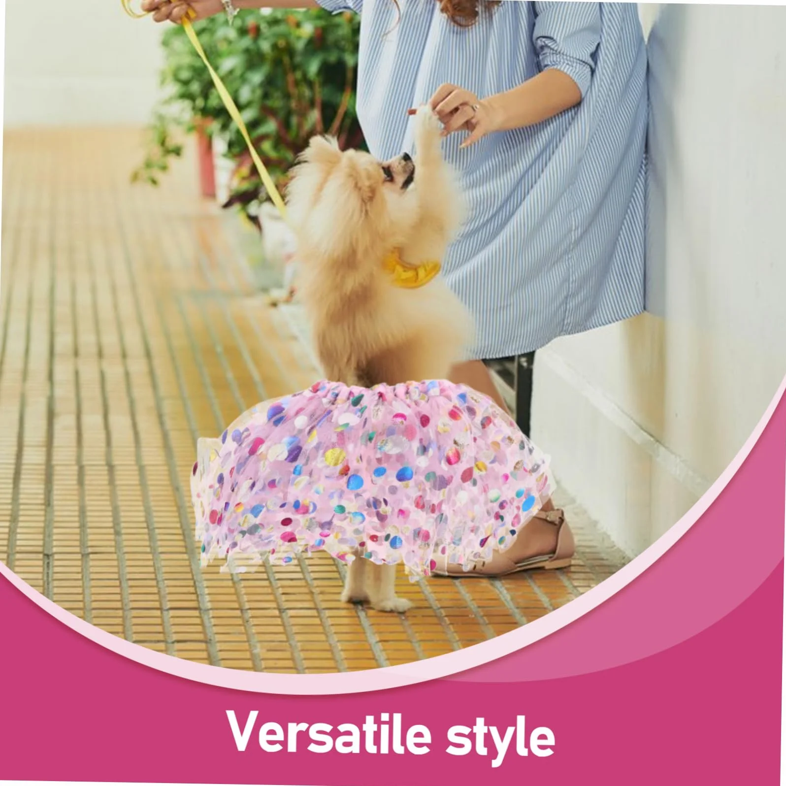 BESTonZON Robe tutu réglable respirante pour chiens petite moyenne grande taille tulle costume chiot animal de compagnie tenue anniversaire