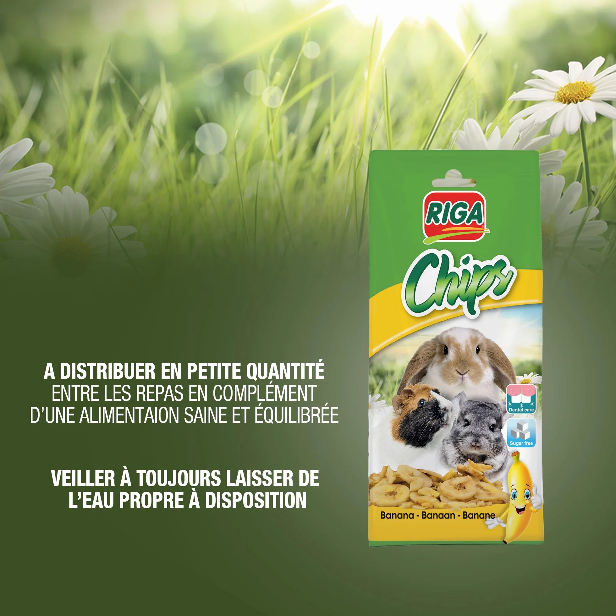 Riga Chips de Banane Séchée Friandise Naturelle pour Rongeurs Riche en Vitamines et Minéraux sans Additifs 50G