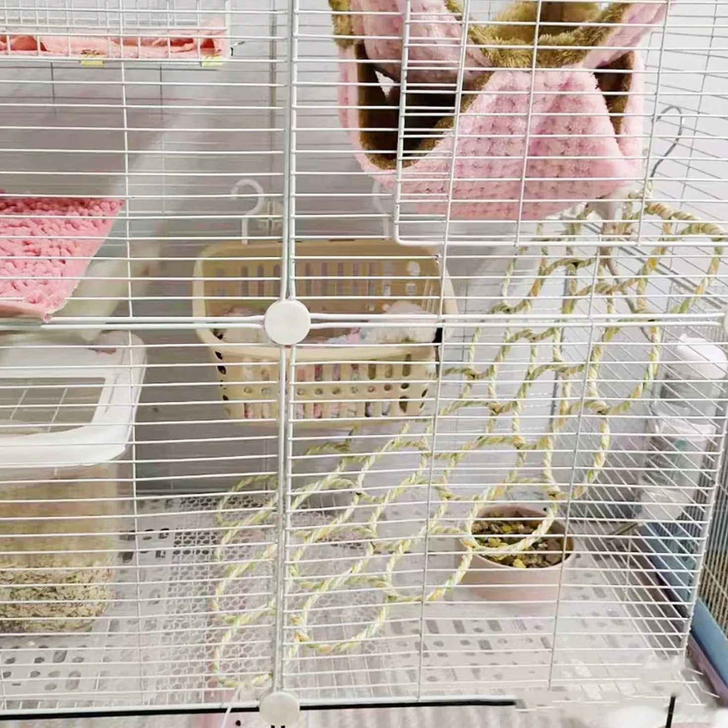 Lot de 2 Jouets Suspendus pour Petits Animaux – Filet à Corde, Échelle, Pont d’Escalade pour Rats, Oiseaux, Perruches, Perroquets, Hamsters
