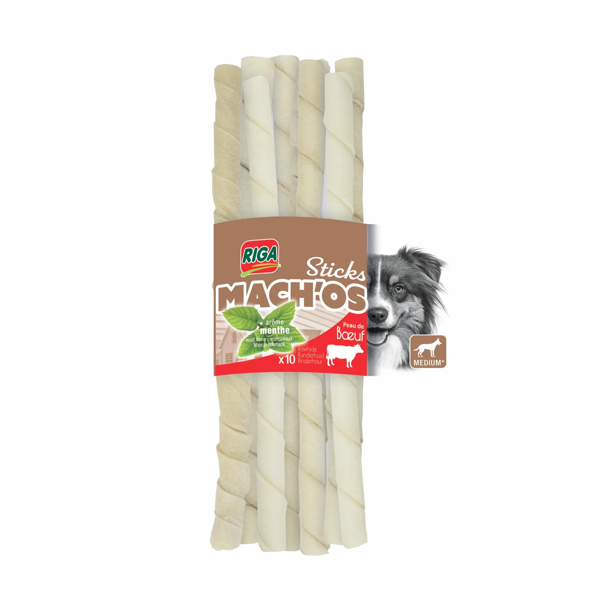 RIGA - Mach'os - Bâtonnet Torsadé Blanc - Friandise Chien - A La Menthe - Peau De Buffle - Riche en Protéines - Hygiène Buccale - Mastication Et Récompense - pour Moyen Chien - x 10