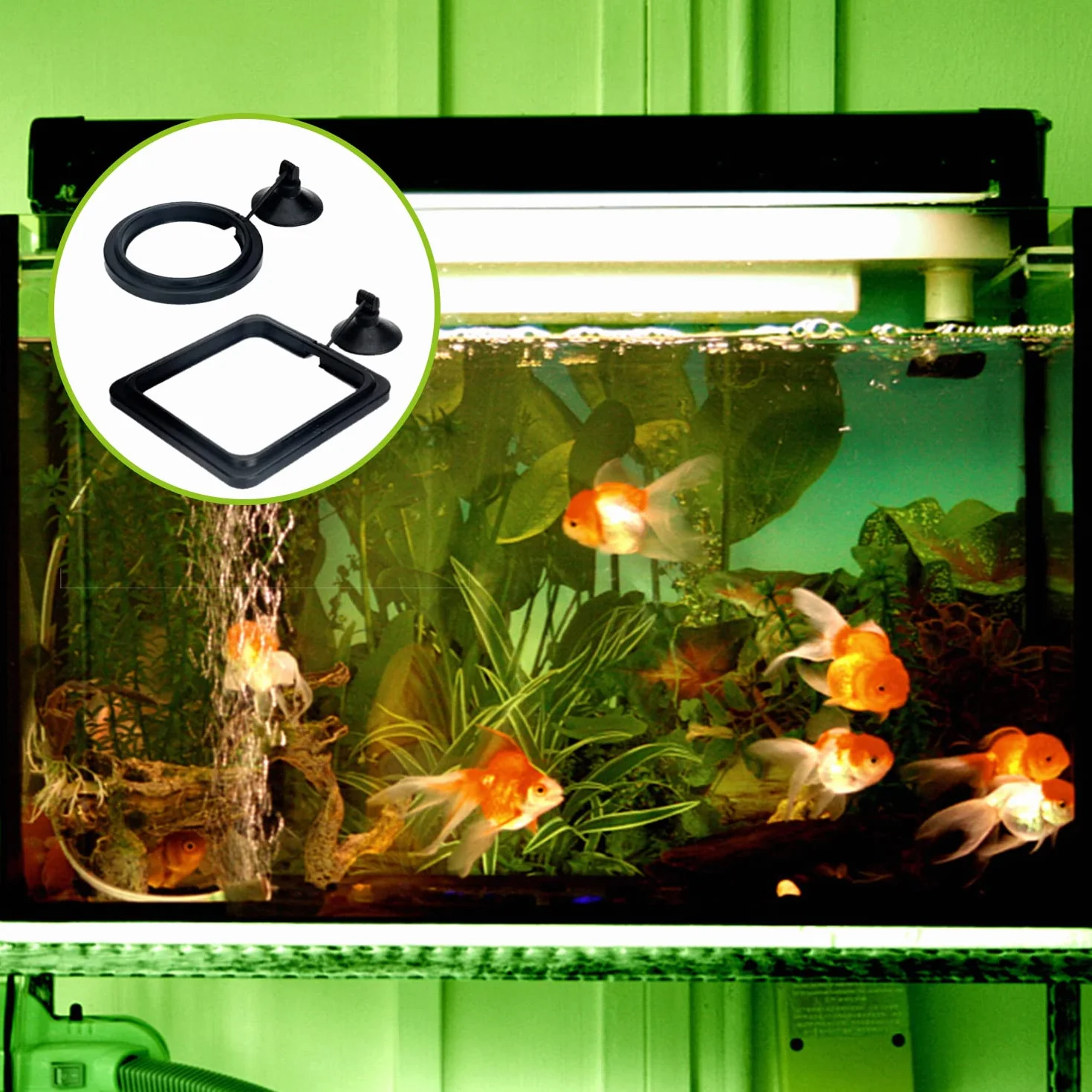 Anneau d'alimentation pour Aquarium avec Ventouse