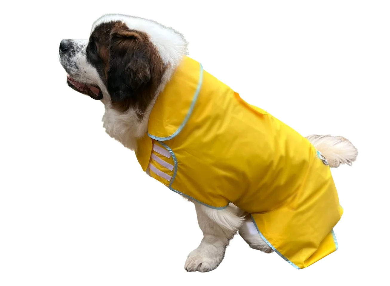 Huge Hounds HugeHounds Manteau de Pluie imperméable pour Chien Taille XL
