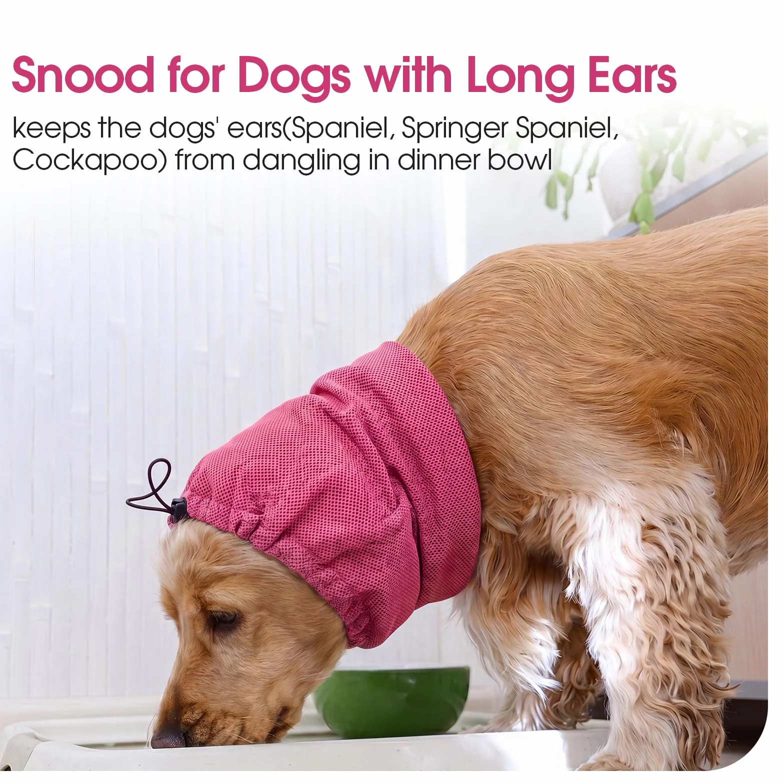 Cache Oreille Chien Snood Ete Empêche Gratter Points Suture Maintient Pansements Oreille Rouge rosé M