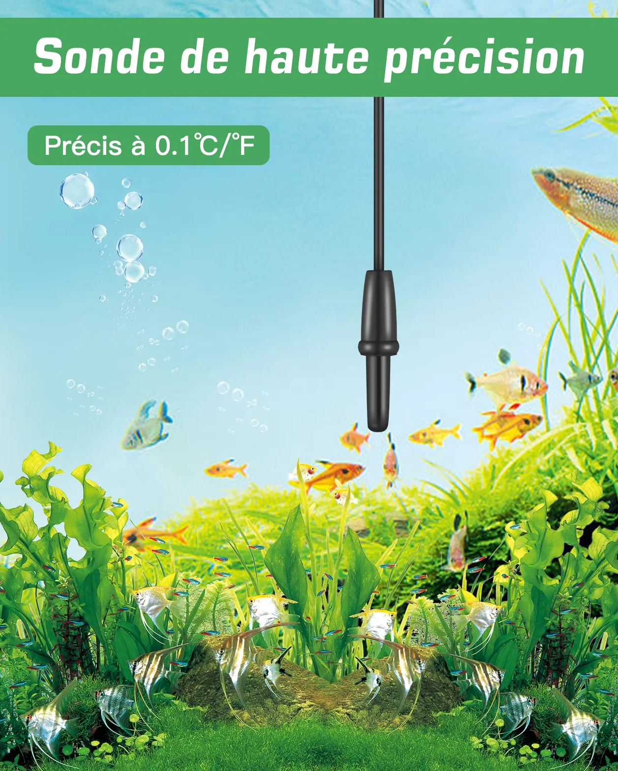 Zacro Thermomètre LCD Digital Aquarium avec Ventouse Sonde Immersion