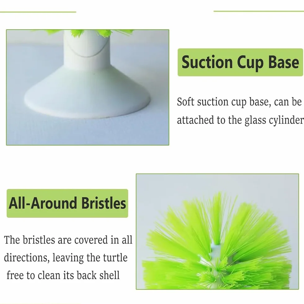 Brosses à tortue ventouse lot de 2 exfoliante rayures dos coquille écailles