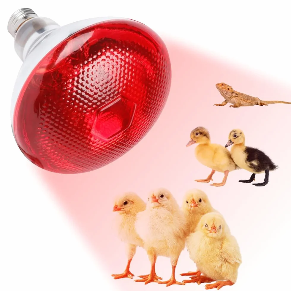 Lampe Chauffante Reptile 250W E27 Ampoule Infrarouge pour Tortue Serpent Hamster