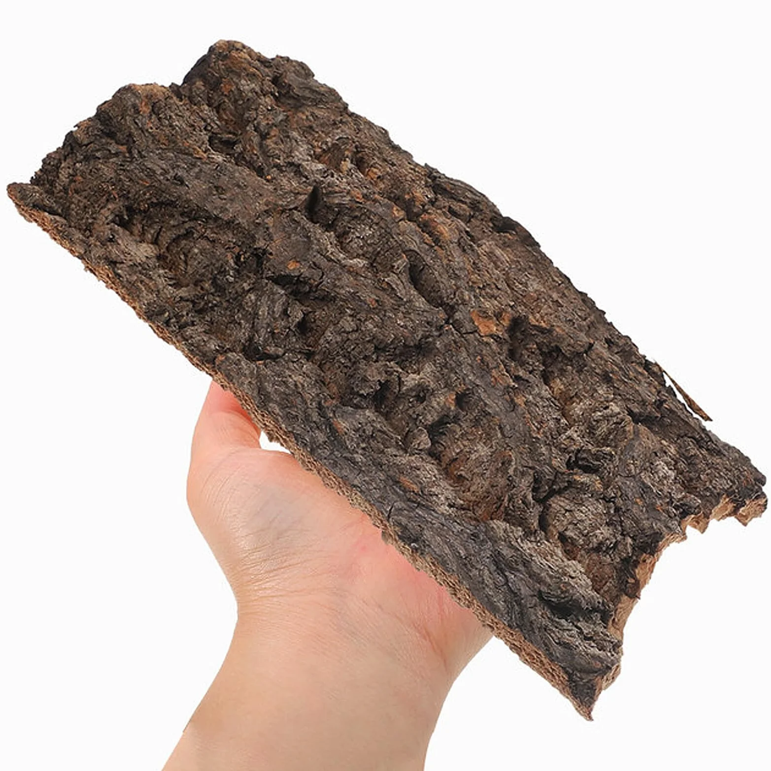 Lot de 4 plateformes d'escalade en bois naturel pour reptiles et tortues - Écorce d'arbre taille moyenne