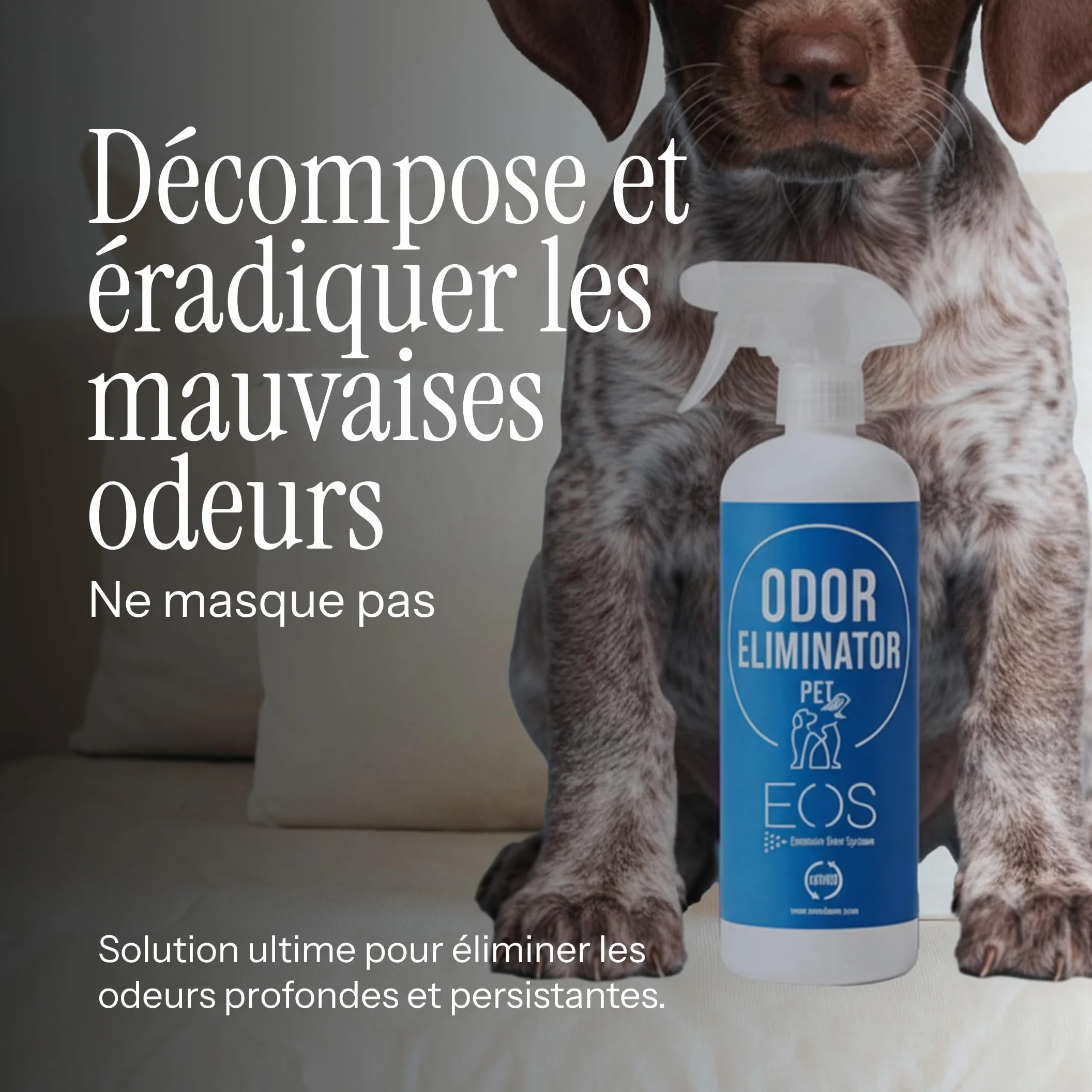 EOS Nettoyeur d'urine enzymatique 1 litre élimine les odeurs d'animaux