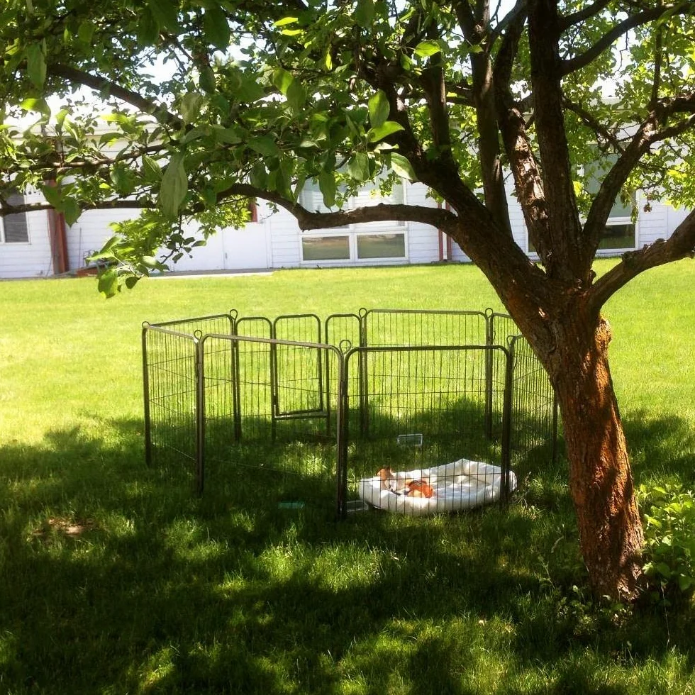 Abician Cage pour Chien Parc 8 Panneaux 80 x 60 cm Enclos Pliant pour Chiots
