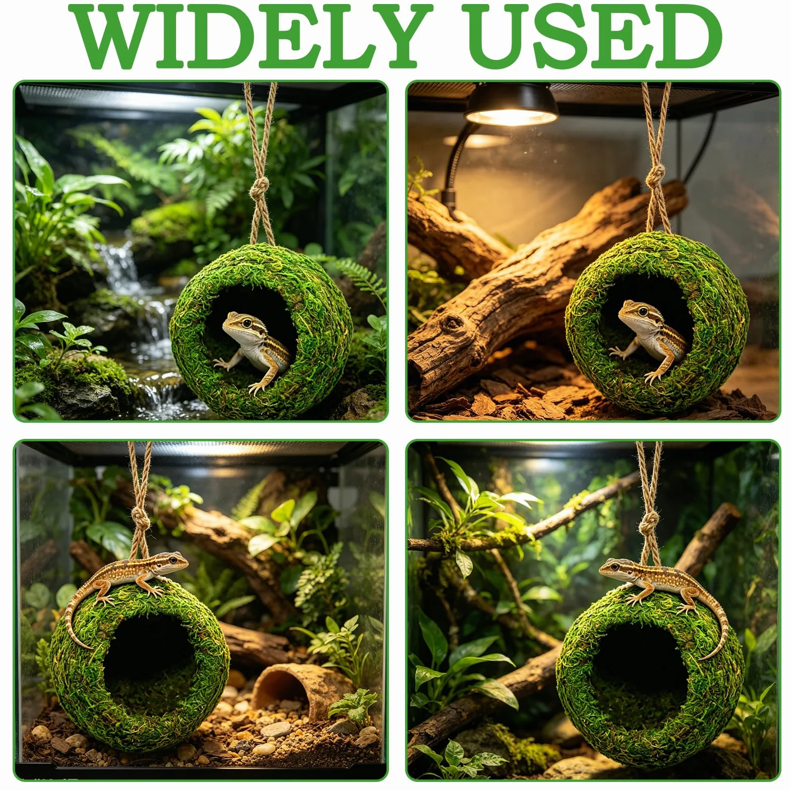 Abri Suspendu Naturel Hamac Fait Main pour Terrarium Gecko Dragon Barbu Serpent Petits Reptiles