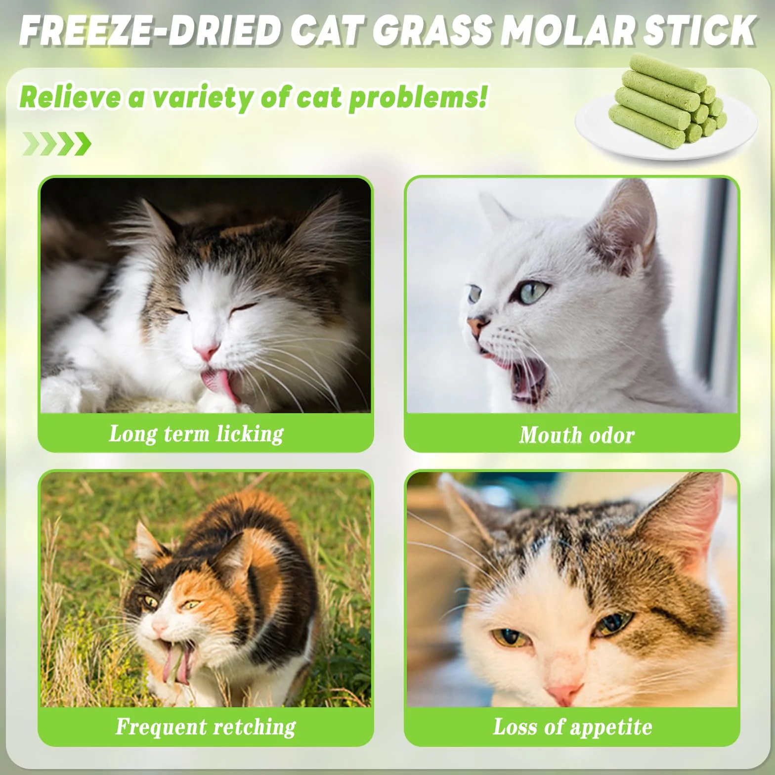 Bâton d'herbe à Chat 12 Pcs Fabriqué à Partir d'herbe à Chat Ingrédients Naturels Améliore la Digestion