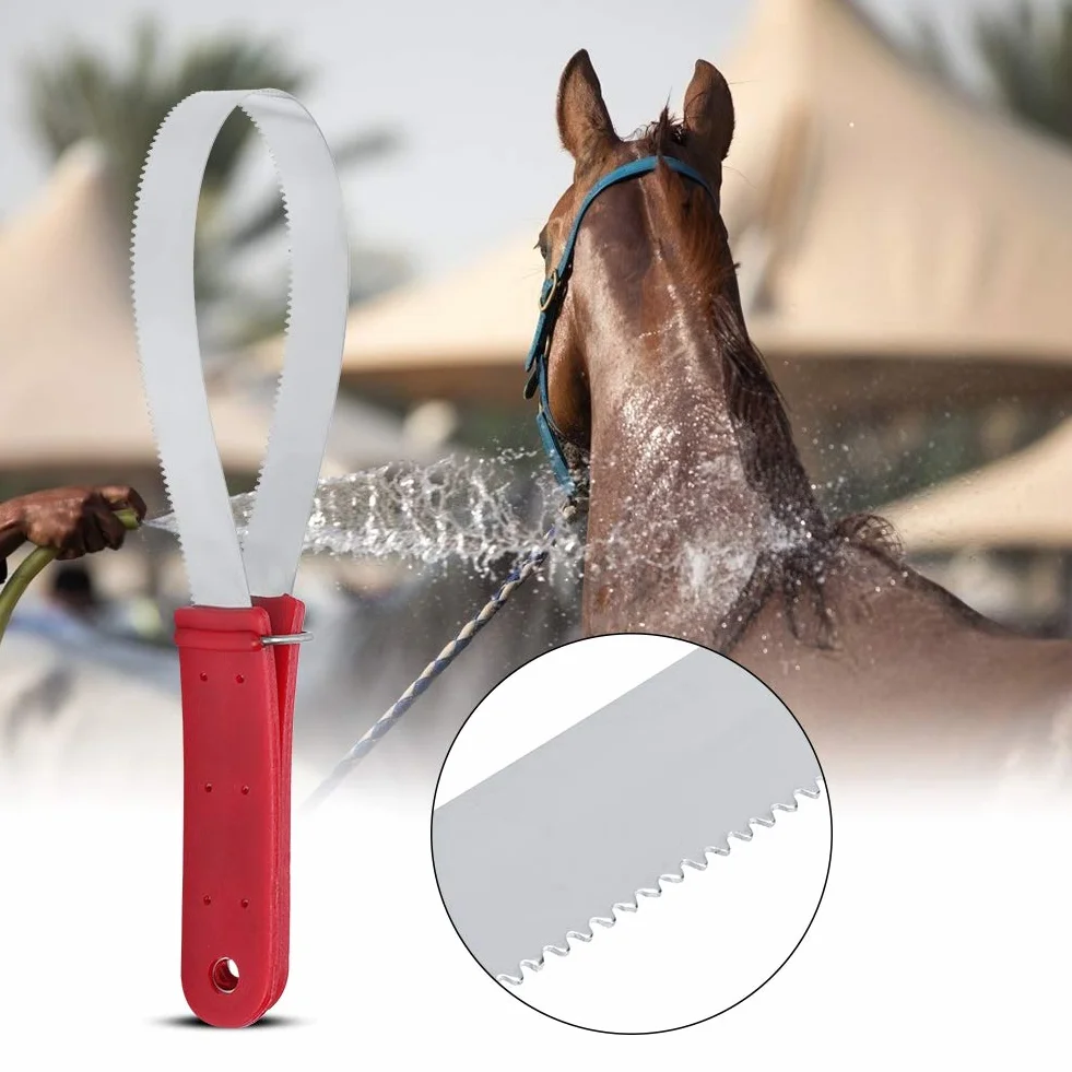Grattoir À Sueur pour Cheval, Racloir Lame Double Face pour Perdre Poils Cheval Poney