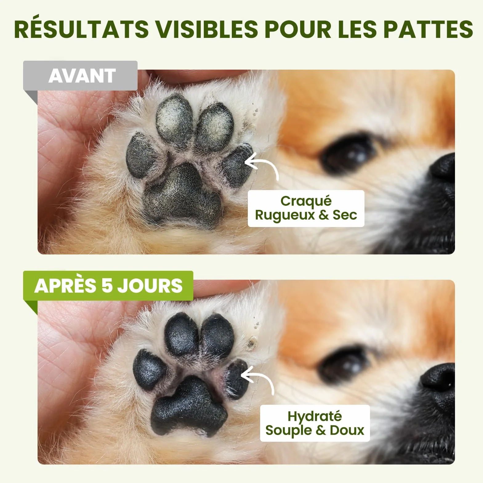 PawSono Baume Coussinets et Truffe Chien 100% Naturel Beurre de Karité & Huile de Coco Soin Hydratant Protecteur