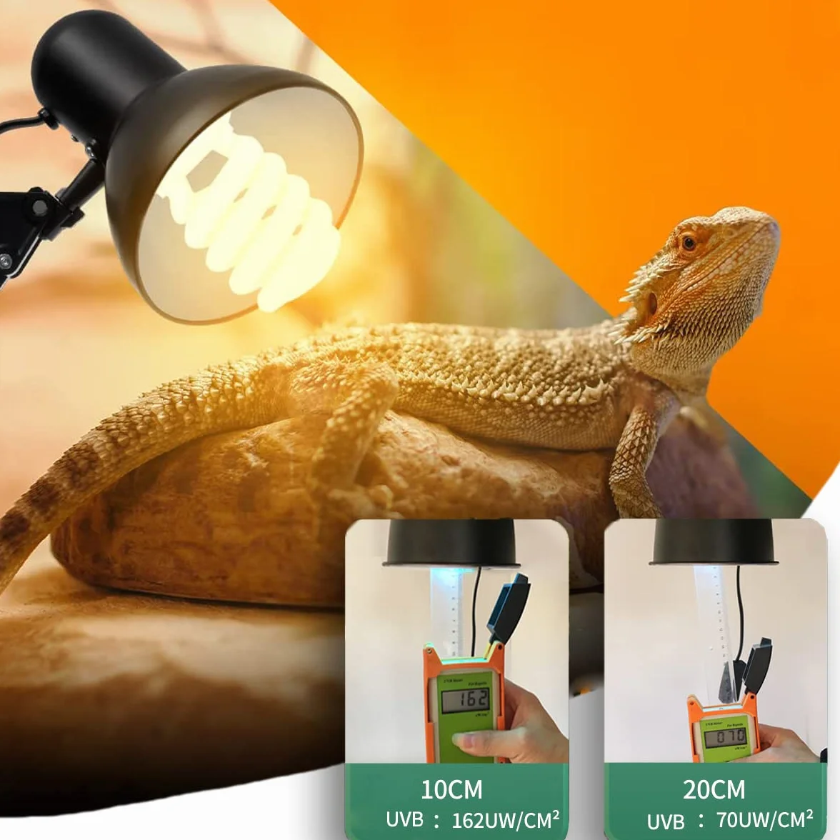 Ampoule Reptiglo Tortoise UVB 10.0 26W Lampe Fluorescente pour Reptiles Serpent Lézard