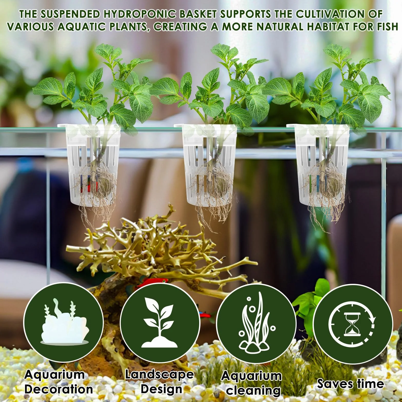 Support de plantes d'aquarium avec ventouses, culture aquaponique et accessoires