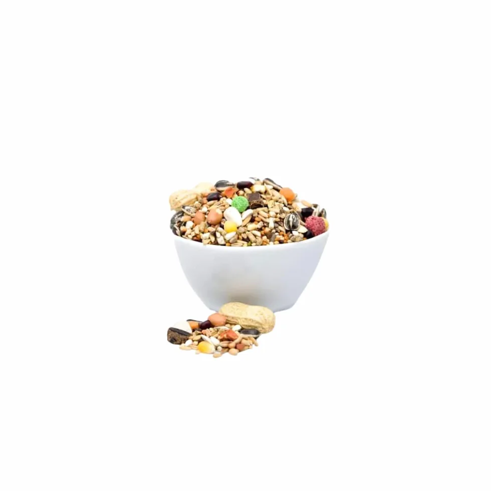 Nourriture pour perroquets de grande taille 10 kg mélange naturel sans additifs granulés vitamines tournesol noix chanvre citrouille