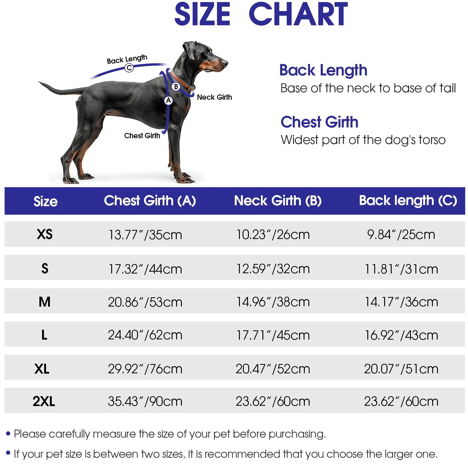 CITÉTOILE Veste Chaude pour Chien – Manteau Hiver Nylon Rembourré, Bandes Réfléchissantes et Fermeture Éclair – Design Classique Imperméable pour Temps Froid Bleu XXL