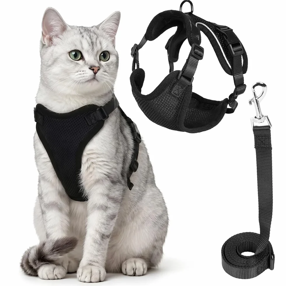 Aolso Harnais pour Chat Anti-éclatement Filet Respirant Réglable Réfléchissant Laisse 150cm Noir Taille M