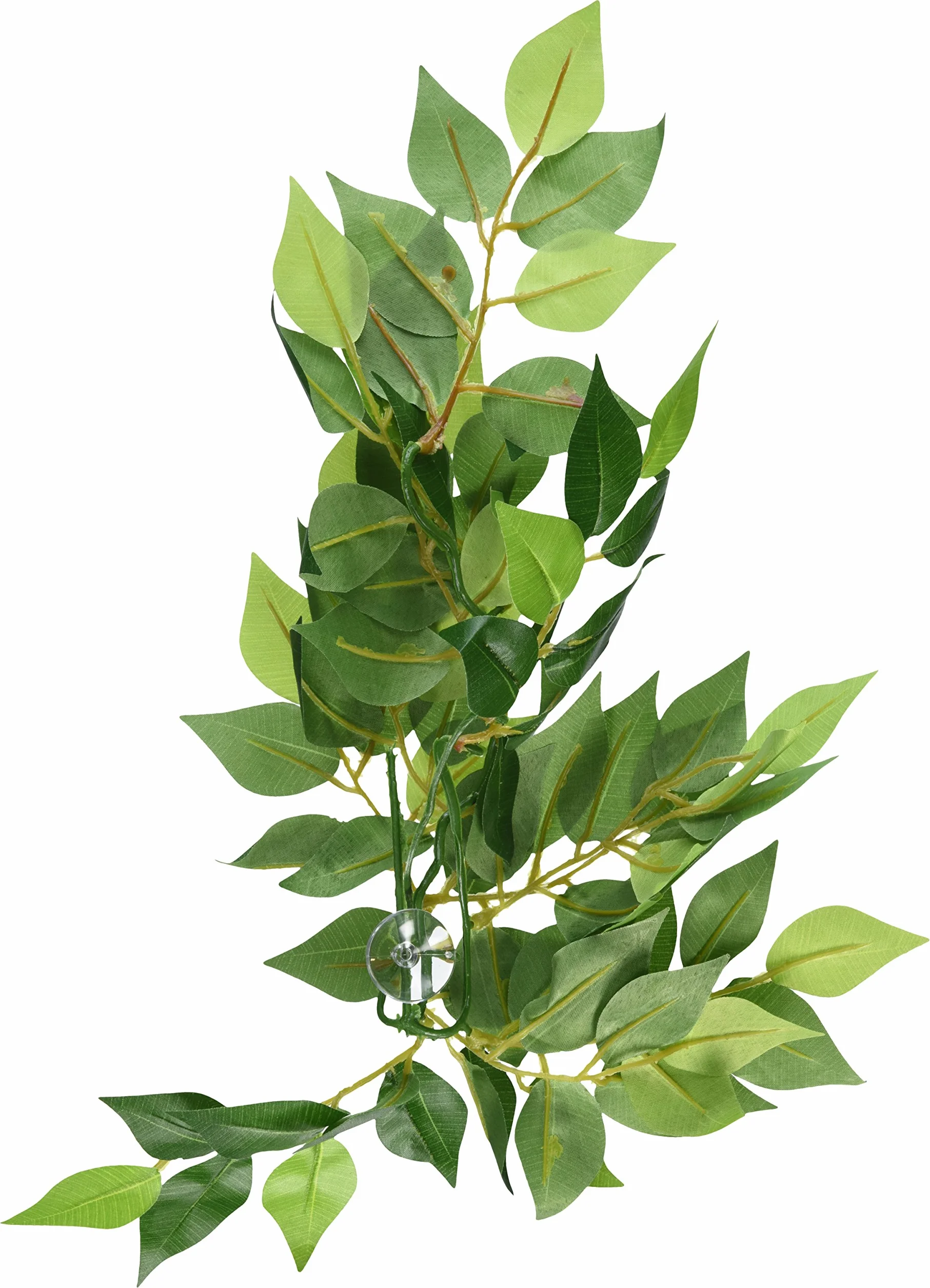 Exoterra Ruscus Plante Petit Modèle Reptiles Amphibiens