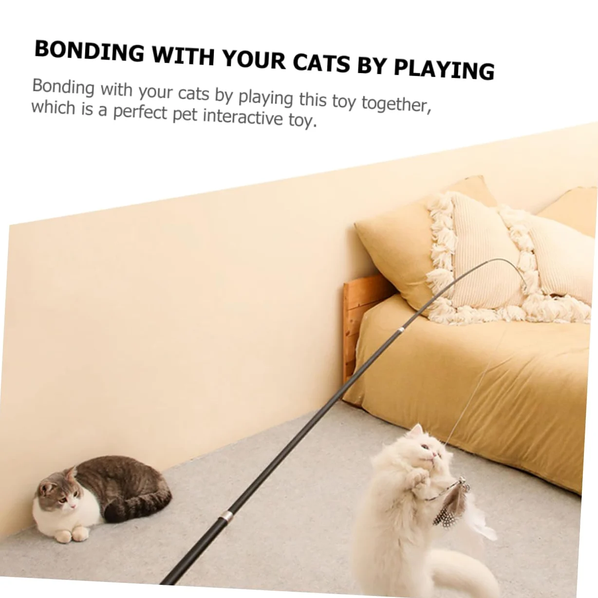 Mipcase 8pièces Télescopique pour Chat Jouet Interactif avec Plume pour Activité Curiosité des Félins