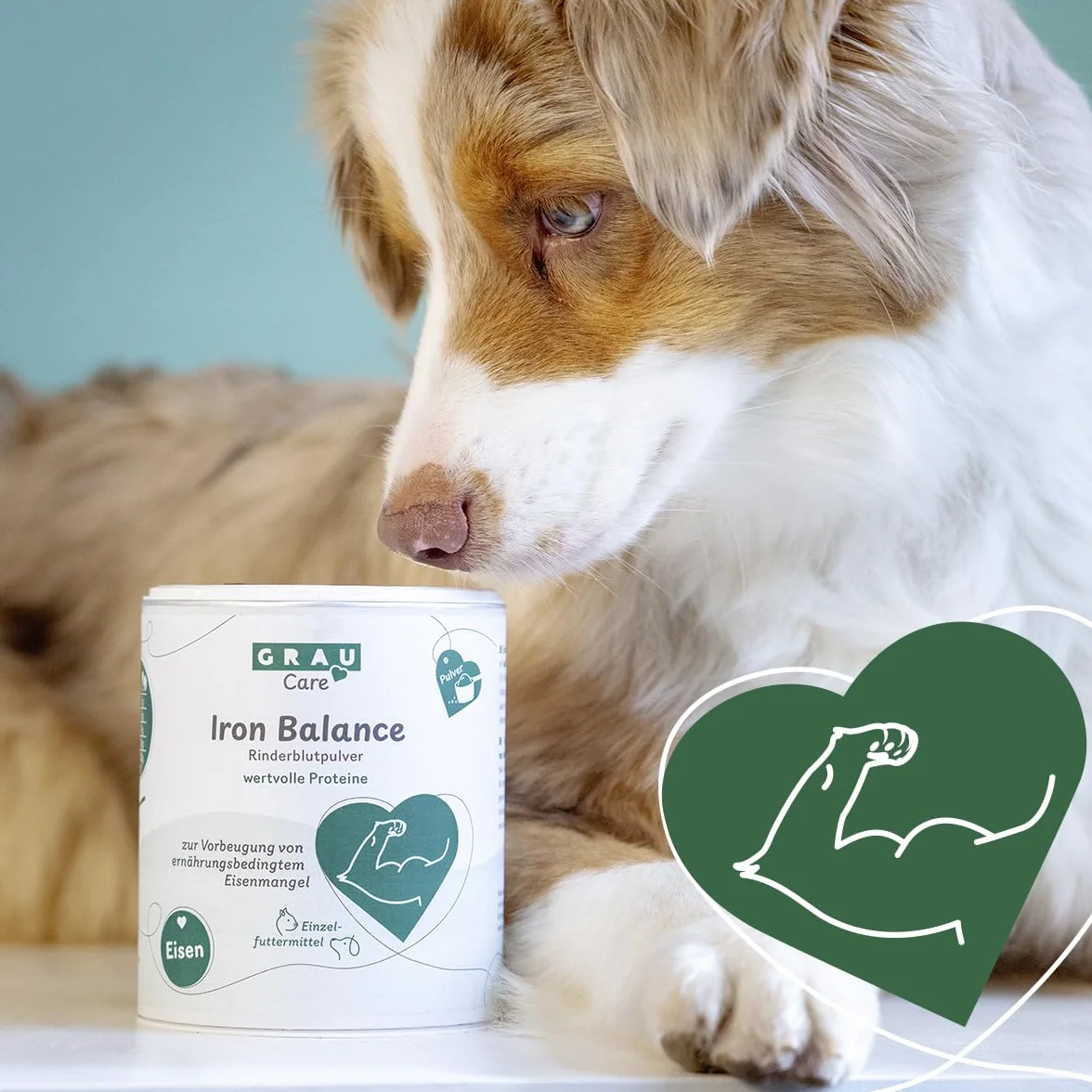 GRAU Iron Balance Aliment complémentaire pour Chiens et Chats 200 g