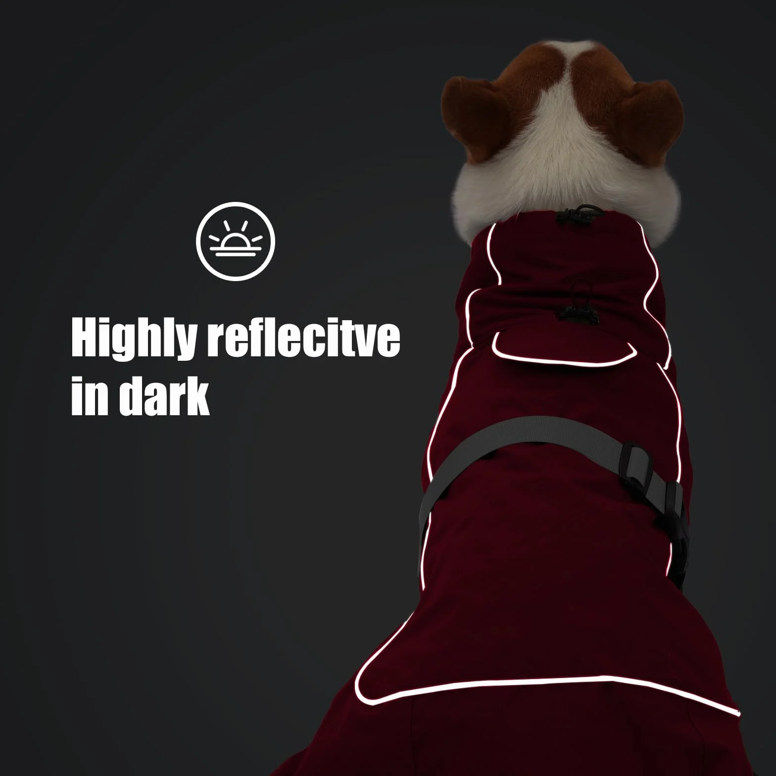 HEYWEAN Manteau Imperméable Réfléchissant pour Chien avec Doublure Polaire