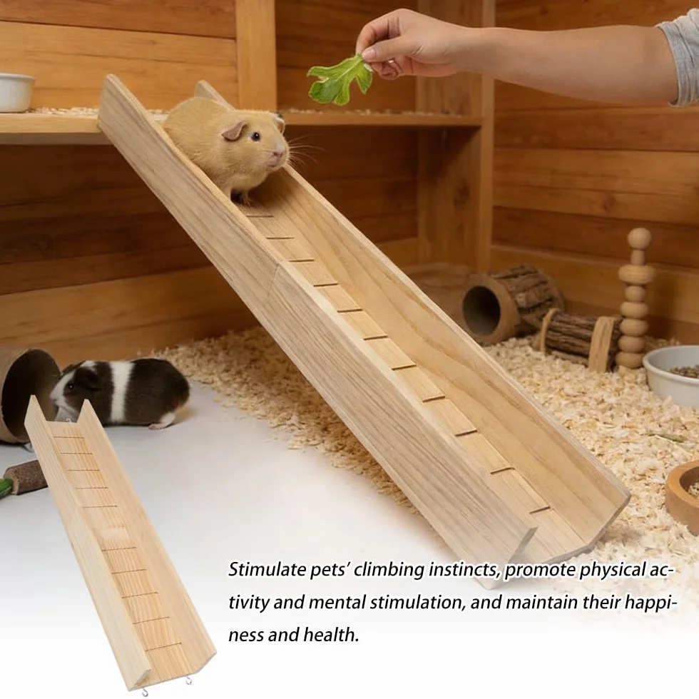 Rampe en Bois pour Cage de Cochon d'Inde 60cm Escalier Hamster Échelle Rongeur
