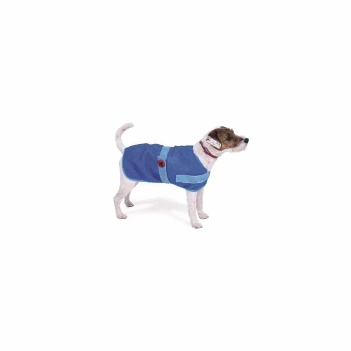 Petface Manteau d'été rafraîchissant pour Chien Bleu 50 cm
