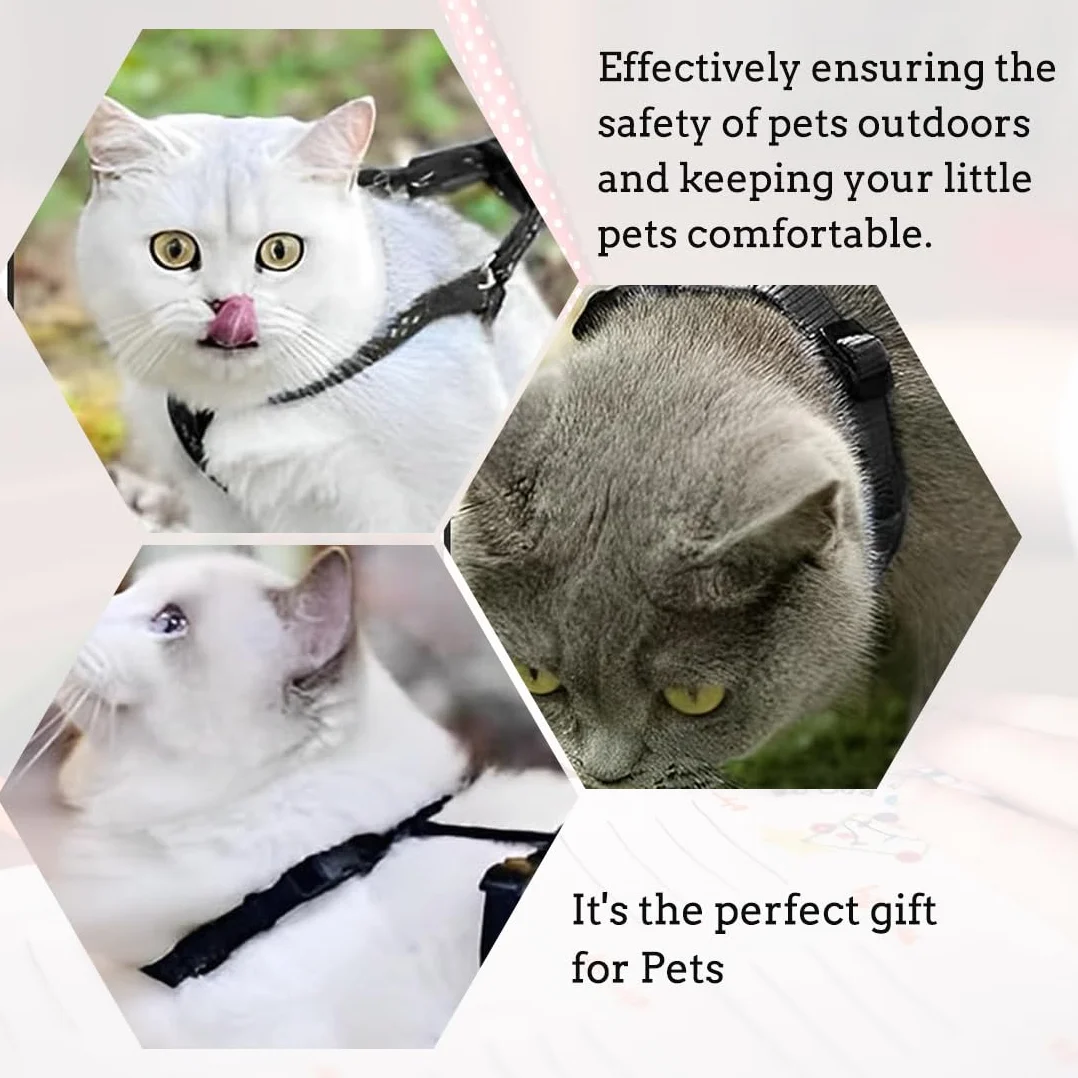 Harnais pour chats réglable noir 120x1cm, harnais et laisse anti-fuite pour chaton petits animaux