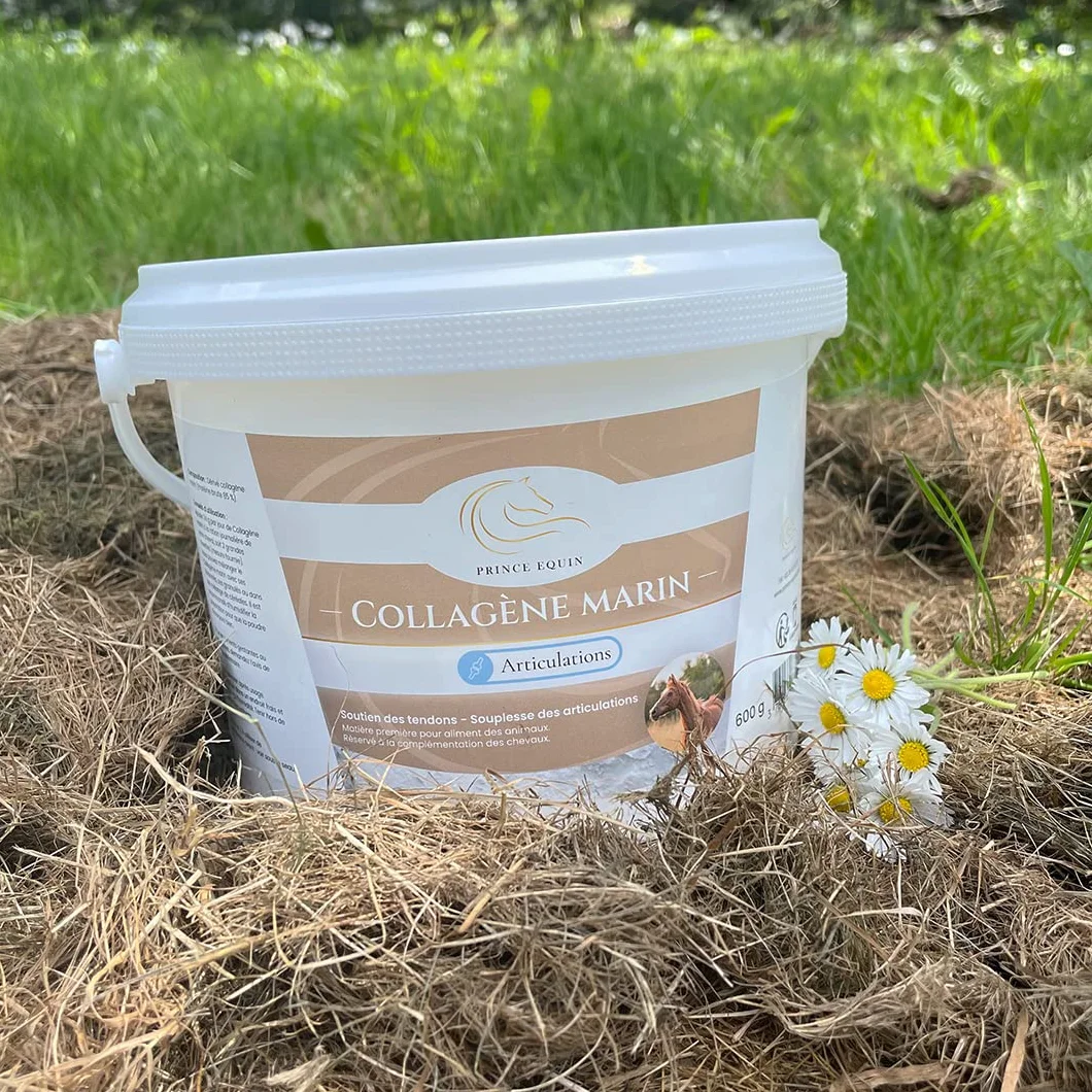COLLAGÈNE Marin Complément nutritionnel Cheval Seau 600 g Souplesse articulations Soutien tendons