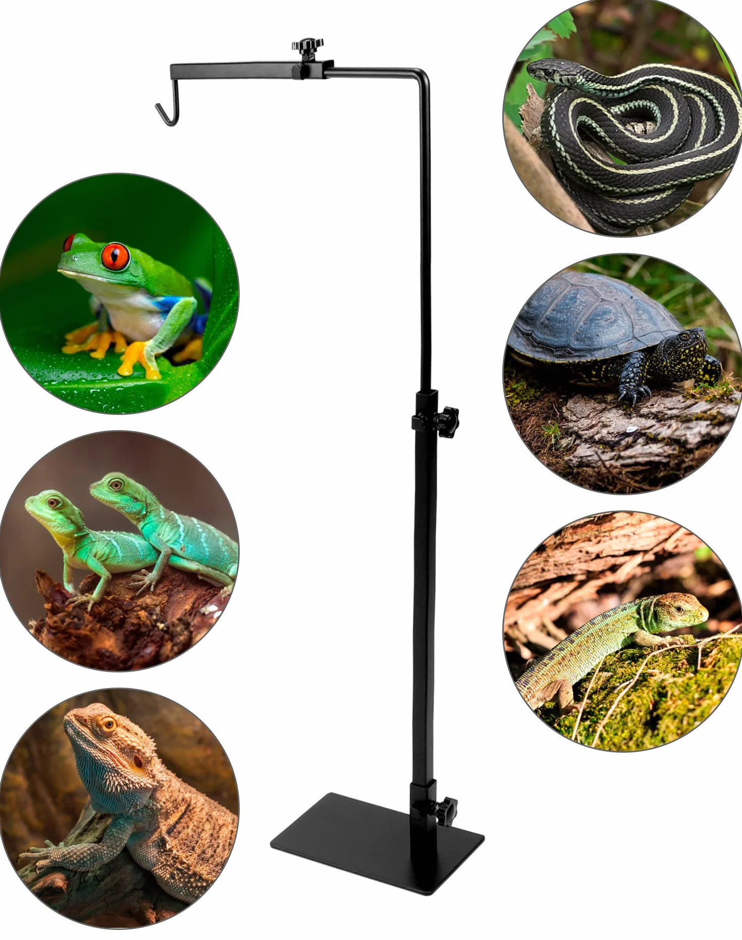 QWORK Support de Lampe Chauffante Reptile Réglable 38-64cm 20-30cm