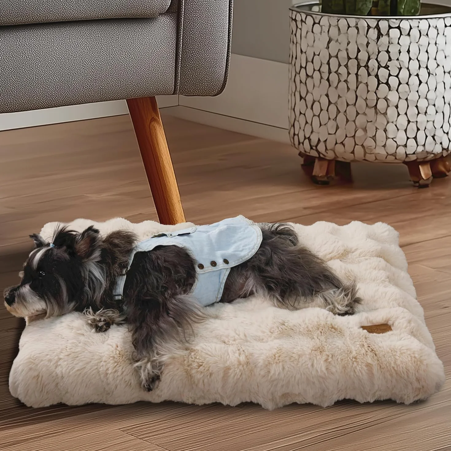 BingoPaw Panier Chien Grande Taille 90x60x10cm Coussin Déhoussable Lavable Machine Imperméable Tissu Peluche Doux Beige