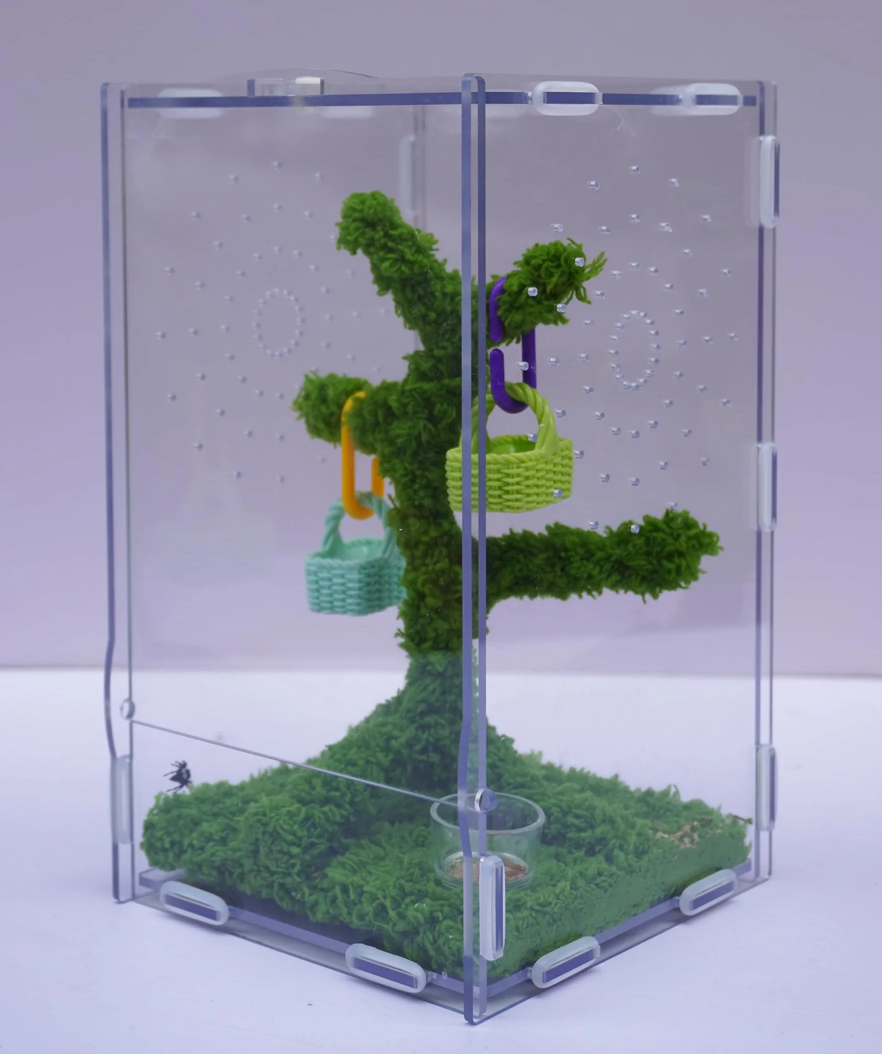 Kit Terrarium Araignées Sauteuses Acrylique Ventilé 22x13x12 cm avec Pince Nourriture et Décor