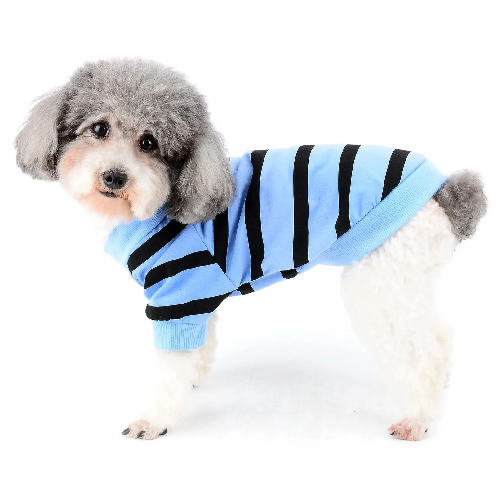 Zunea Chemise Chien T-Shirt Rayures Vêtement Paillettes Cœur Manches Courtes Coton Doux Chihuahua Bleu XS